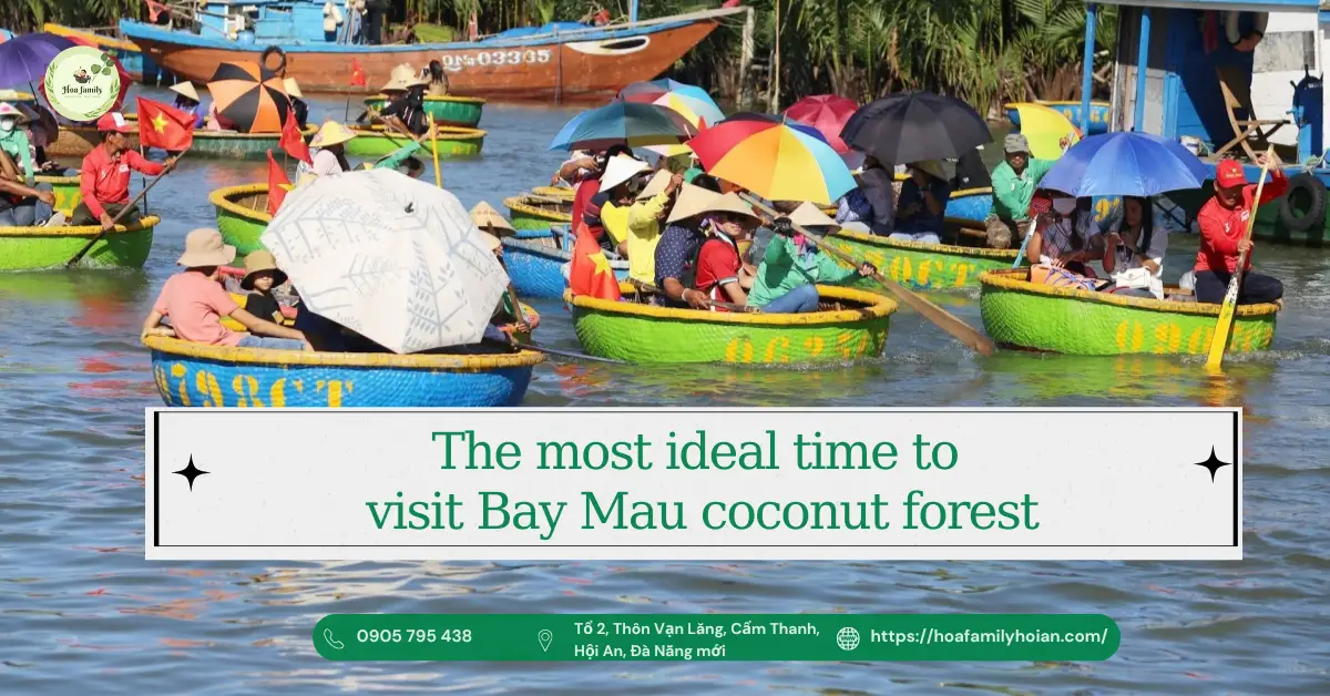 The most ideal time to visit Bai Mau coconut forest