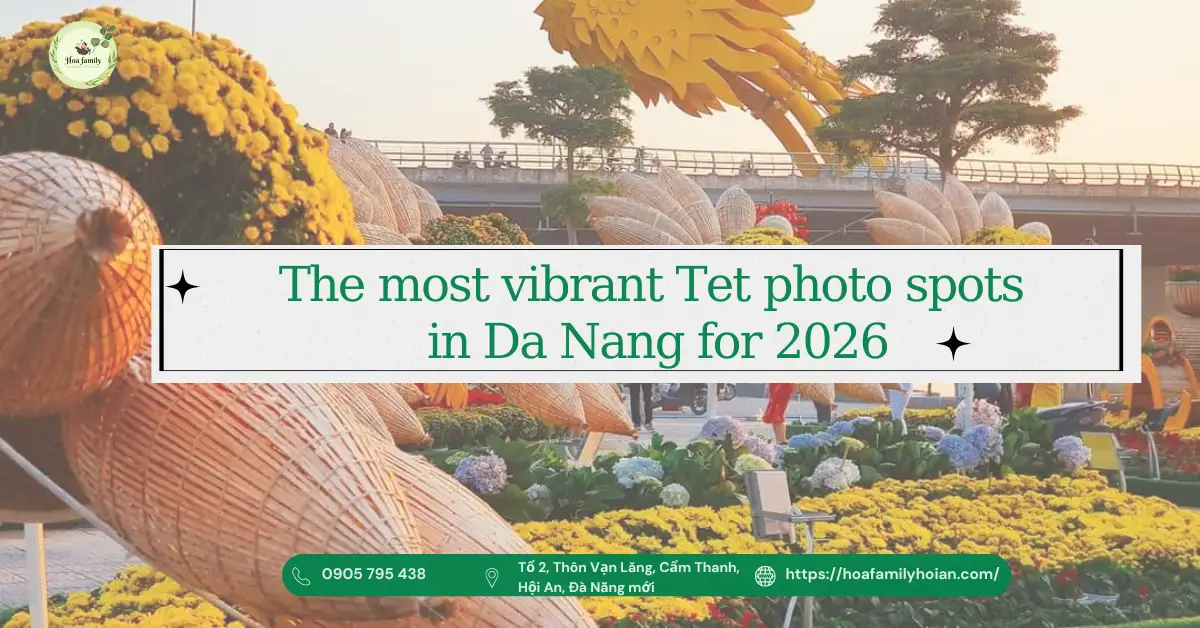 The most brilliant Tet photo locations in Da Nang for 2026
